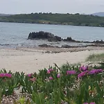 Apartamento Cocteau House Olbia