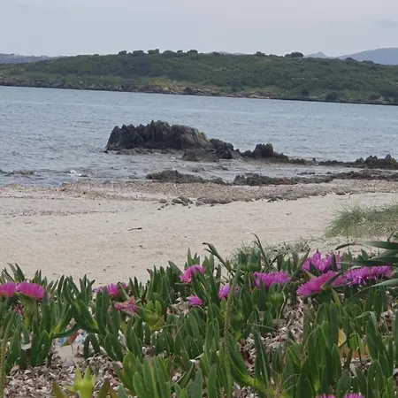 דירה Cocteau House אולביה