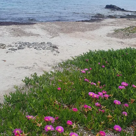 Cocteau House דירה אולביה