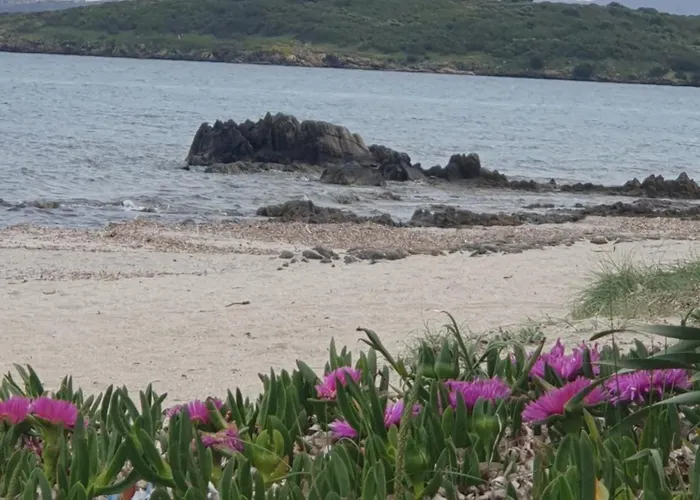 Appartamento Cocteau House Olbia