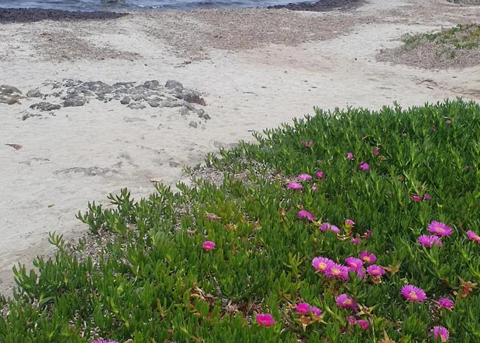 Cocteau House Apartman Olbia